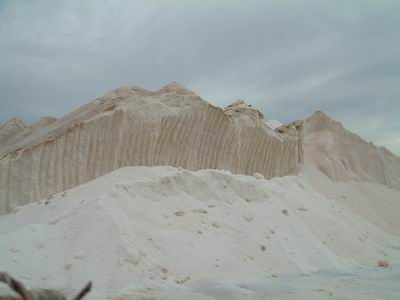DSCF0067.JPG